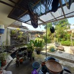 Untitled design - 2024-08-26T125011.996