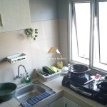 Untitled design - 2024-08-26T133034.423