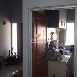 Untitled design - 2024-08-26T133104.722