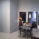 Untitled design - 2024-08-26T133139.898