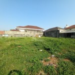 Untitled design - 2024-08-26T134843.185