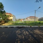 Untitled design - 2024-08-26T135048.190