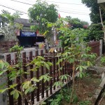 Untitled design - 2024-08-28T150818.727