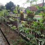 Untitled design - 2024-08-28T150856.470