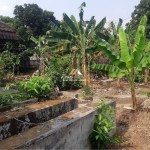 Untitled design - 2024-08-28T150923.048