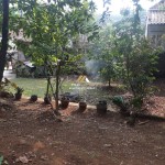 Untitled design - 2024-08-29T152758.513