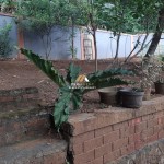 Untitled design - 2024-08-29T152831.030