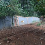 Untitled design - 2024-08-29T152847.158