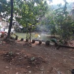 Untitled design - 2024-08-29T152901.960