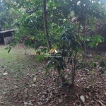 Untitled design - 2024-08-29T152918.133