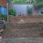 Untitled design - 2024-08-29T152945.950