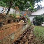 Untitled design - 2024-08-29T153031.698