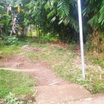 WhatsApp Image 2024-08-19 at 12.56.00_0d67cf1c