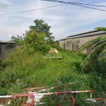 Untitled (1600 x 747 px) (1600 x 720 px) (13)