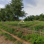 Untitled (1600 x 747 px) (1600 x 720 px) (13)