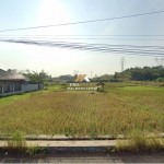 Untitled (1600 x 747 px) (1600 x 720 px) (14)