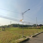 Untitled (1600 x 747 px) (1600 x 720 px) (15)