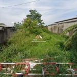 Untitled (1600 x 747 px) (1600 x 720 px) (15)