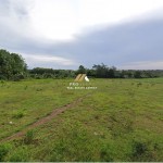 Untitled (1600 x 747 px) (1600 x 720 px) (15)