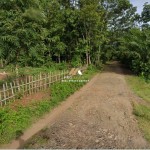 Untitled (1600 x 747 px) (1600 x 720 px) (16)