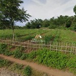 Untitled (1600 x 747 px) (1600 x 720 px) (17)