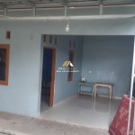 Untitled design - 2024-09-11T100202.018