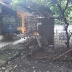 Untitled design - 2024-09-11T100324.447