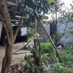 Untitled design - 2024-09-11T100341.459