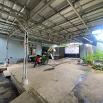 Untitled design - 2024-09-11T100554.188