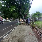 Untitled design - 2024-09-24T142754.751