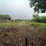 Untitled design - 2024-09-24T142857.767