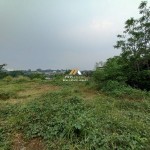 Untitled design - 2024-09-24T142914.811