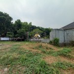 Untitled design - 2024-09-24T142933.965