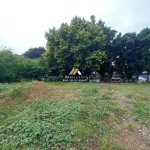 Untitled design - 2024-09-24T143011.848