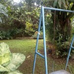 Untitled design - 2024-09-27T154550.481