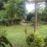 Untitled design - 2024-09-27T154619.479