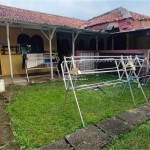 Untitled design - 2024-09-27T154930.580