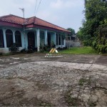 Untitled design - 2024-09-27T155020.850