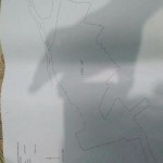 IMG-20241021-WA0001