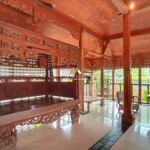 Untitled design - 2024-10-03T130233.479