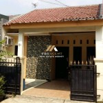 Untitled design - 2024-10-14T124916.905