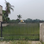 Untitled design - 2024-10-31T124035.284