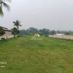 Untitled design - 2024-10-31T124109.768