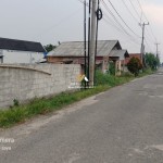 Untitled design - 2024-10-31T124208.323