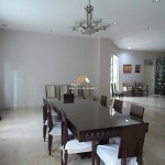 Untitled design (37)