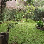 Untitled design - 2024-11-11T092336.025