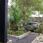 Untitled design - 2024-11-11T092453.809