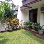 Untitled design - 2024-11-12T151959.393