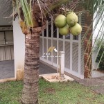 Untitled design - 2024-11-18T134906.013