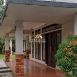 Untitled design - 2024-11-18T135237.784